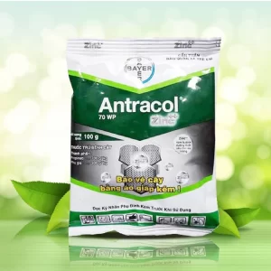 Thuốc trừ nấm - Antracol 70WP 100gr